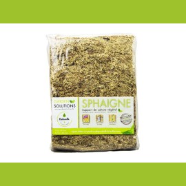 Chileens sphagnum in vezels (1 kg - 50 lt)