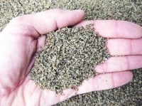 Sabbia silicea, quarzite 0,5/3 mm (10 kg)