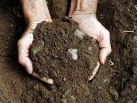 Chemische analyse van de bodem voor agronomisch gebruik, 9 parameters